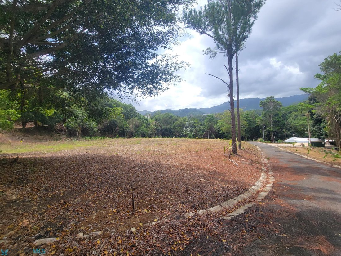 House in Caguas, Caguas, Puerto Rico 1 - 18437657
