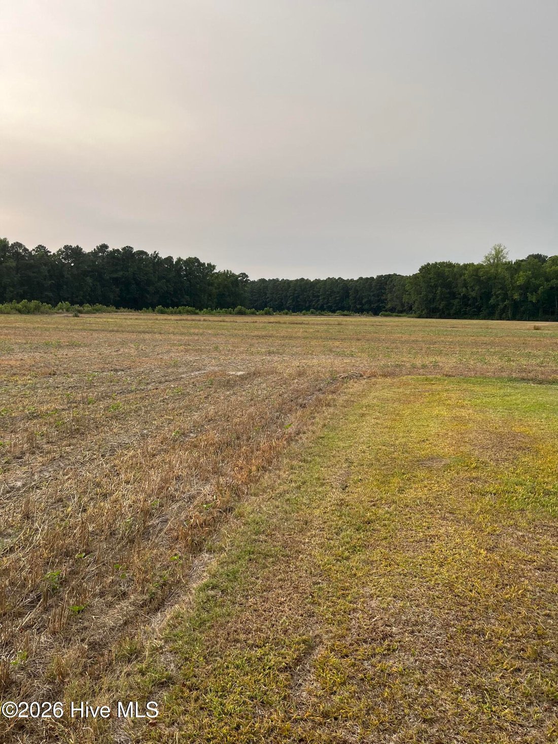 Land in Greenville, North Carolina, United States 3 - 18440534