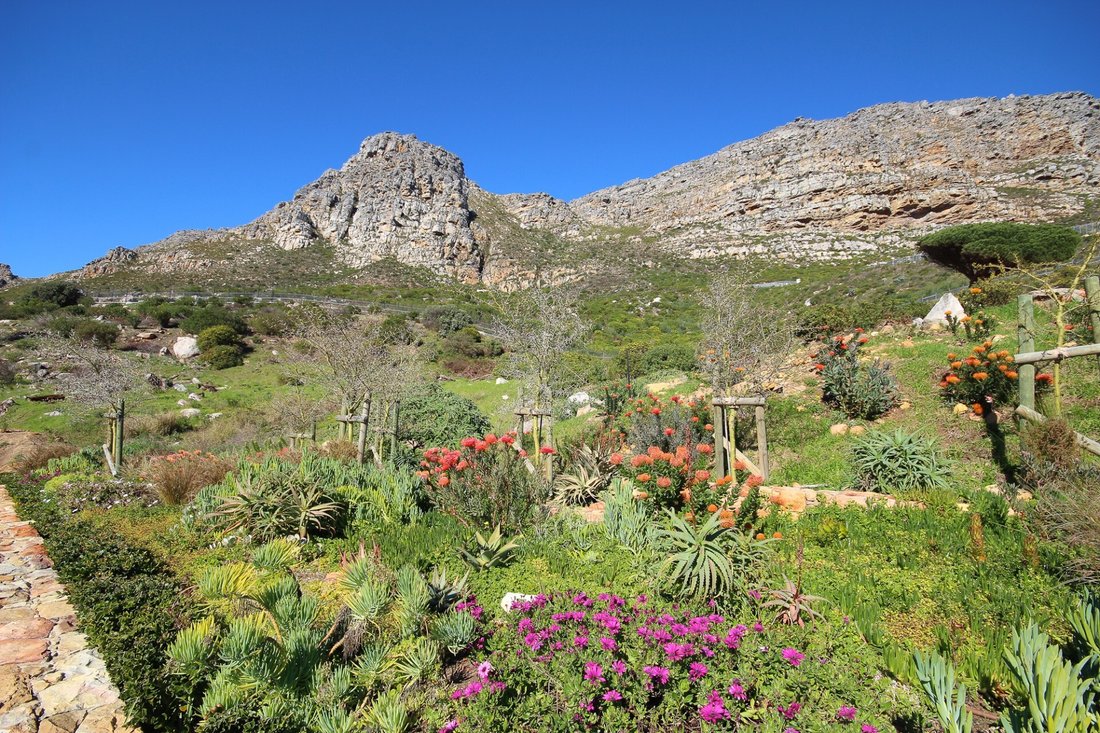 Casa a Muizenberg Mountains, Southern Suburbs, Città del Capo 2 - 18441217