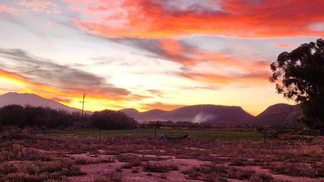 Farm Ranch in Ladismith, Western Cape, South Africa 1 - 18440424