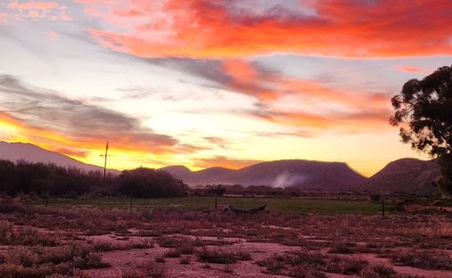 Rancho en Ladismith, El Cabo Occidental, Sudáfrica 1