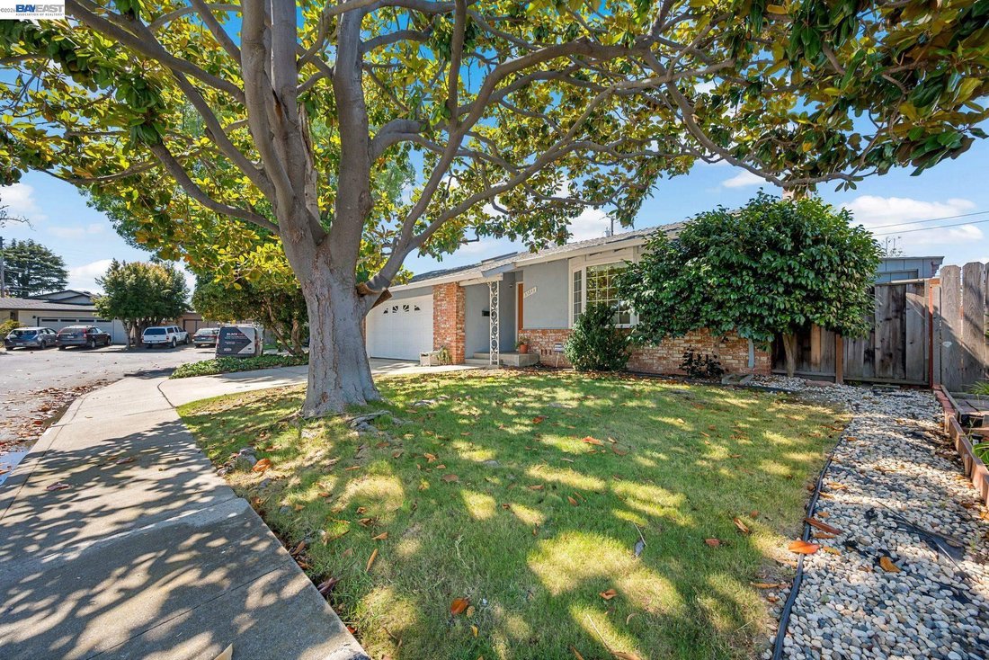 House in Newark, California, United States 3 - 18440499