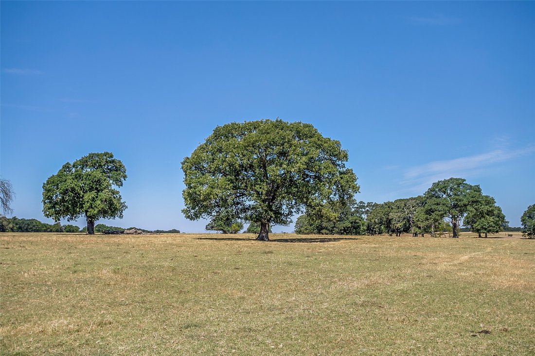 Land in Greenville, Texas, United States 5 - 18440509