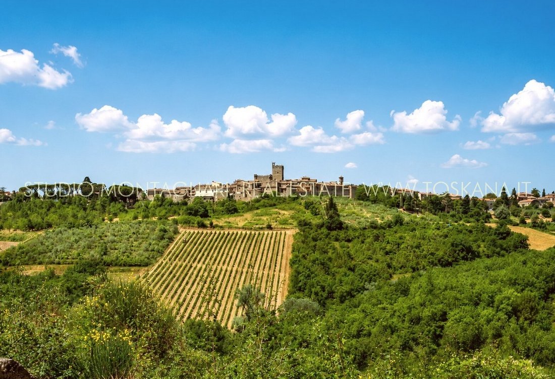 Estate in Castellina in Chianti, Tuscany, Italy 2 - 16324435