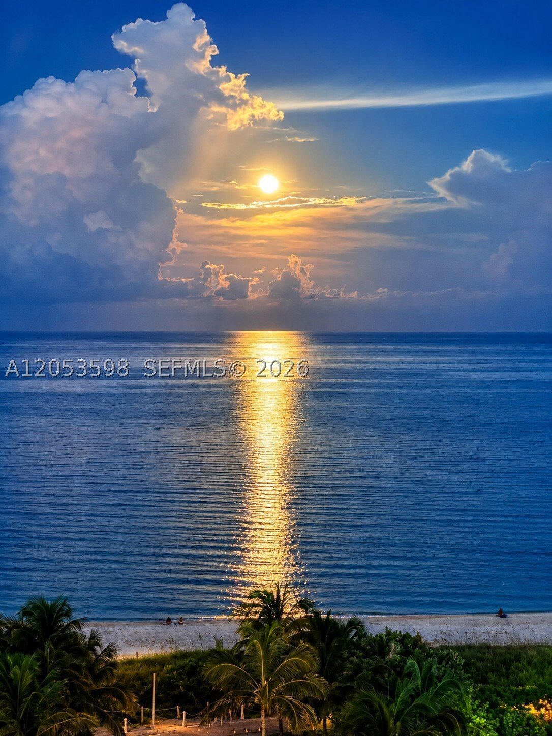 Condo in Miami Beach, Florida, United States 3 - 18439208