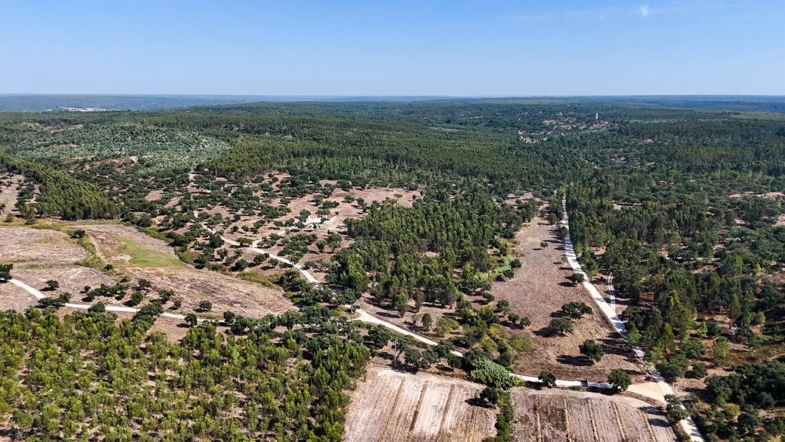 Finca a Almeirim, Distretto di Santarém, Portogallo 4 - 18435884