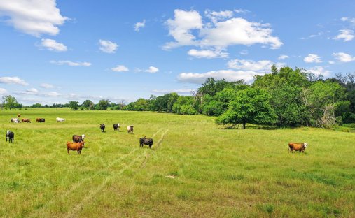 Land in Greenville, Texas, United States 1