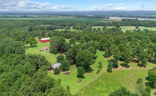 Cecil, Arkansas, United States 1