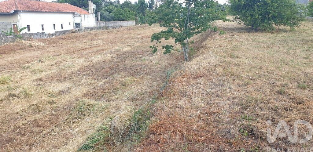 Land in Custoias, Leca do Balio e Guifoes, Porto District, Portugal 4 - 18126320