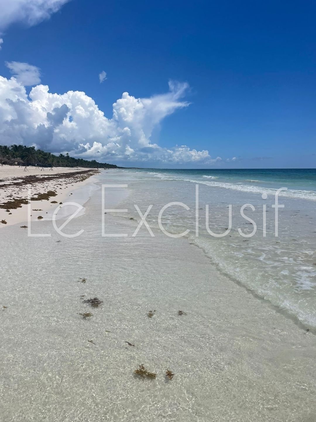 Land in Quintana Roo, Yucatan, Mexico 4 - 15023250