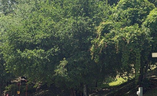 Terreno a Monterrey, Nuevo León, Messico 1