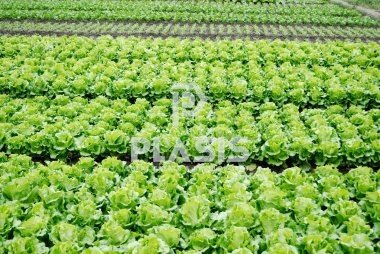 Land in Marathonas, Attica, Greece 5 - 18436956