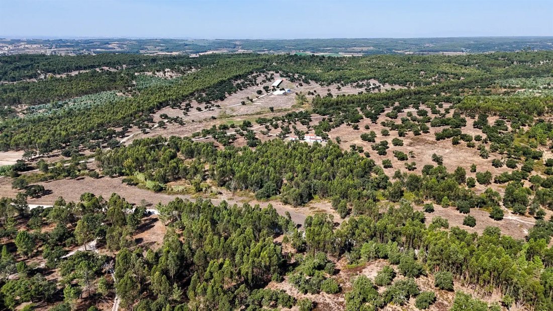 Finca a Almeirim, Distretto di Santarém, Portogallo 5 - 18435884