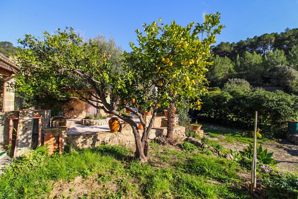 House in Andratx, Balearic Islands, Spain 2 - 17904728
