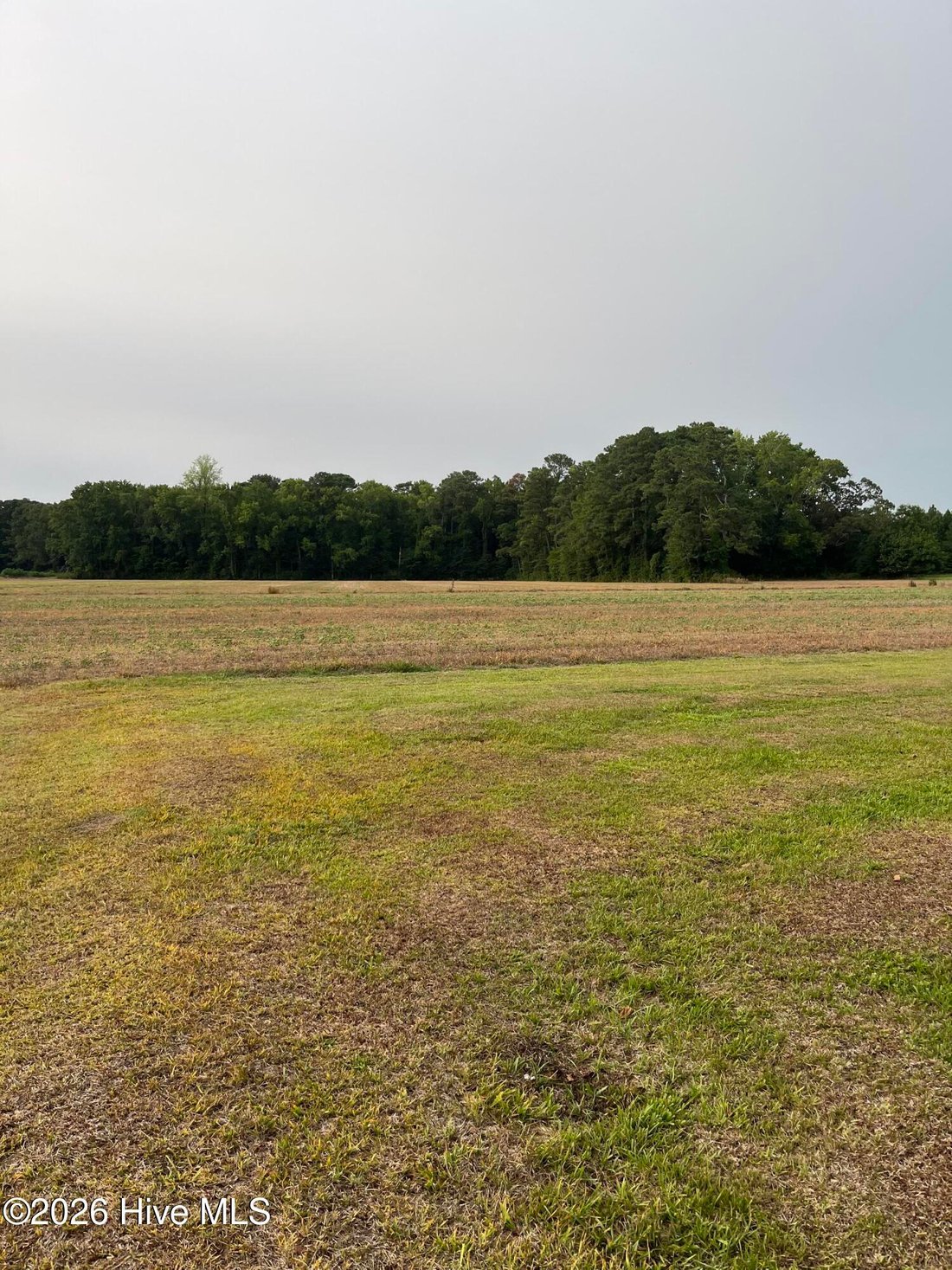 Land in Greenville, North Carolina, United States 4 - 18440534