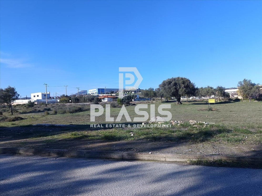 Land in Keratea, Attica, Greece 1 - 18437011