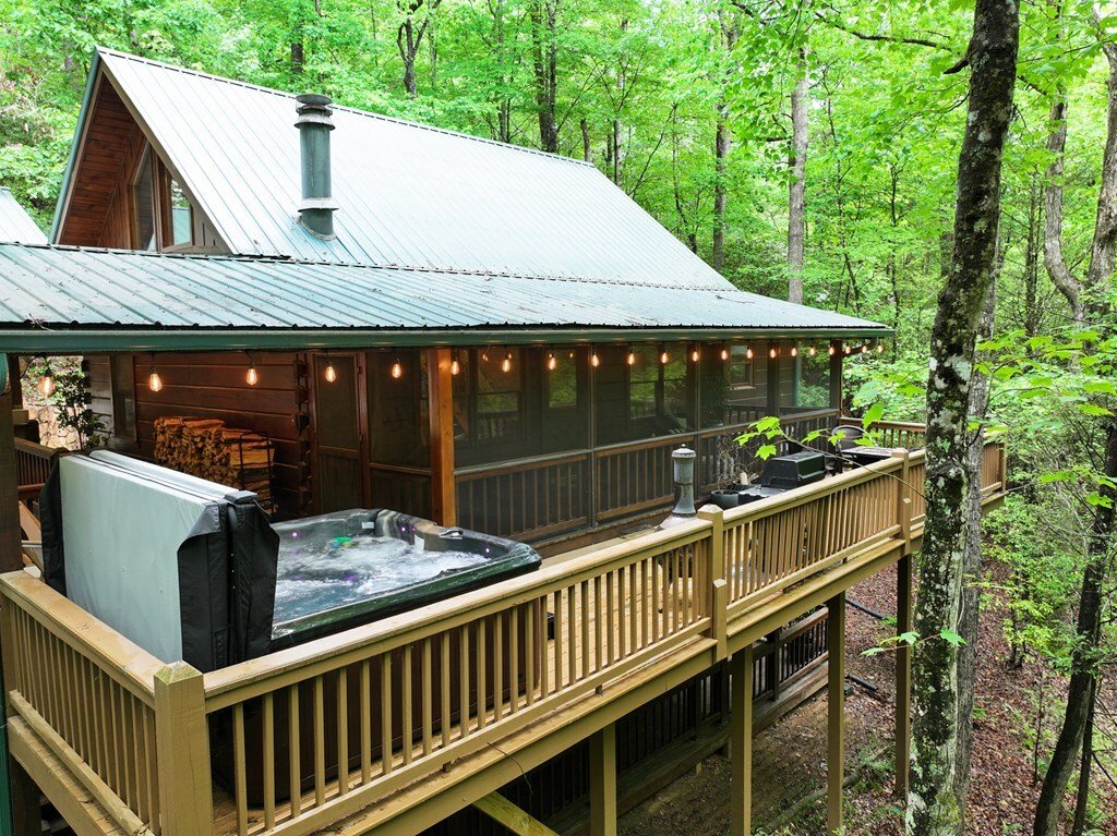 House in Cherry Log, Georgia, United States 3 - 18435967