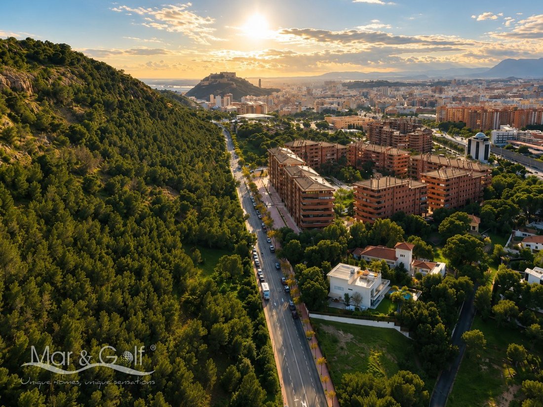 Appartement à Alicante, Valence, Espagne 1 - 18438813