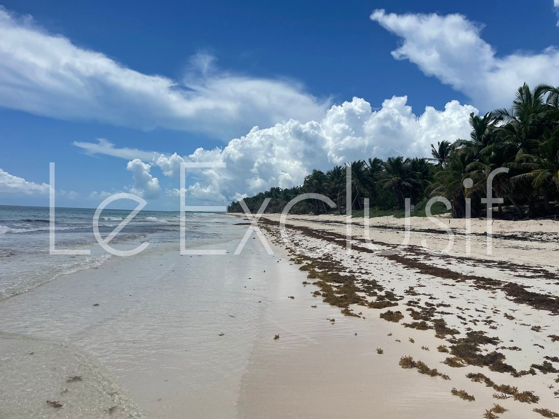 Land in Quintana Roo, Yucatan, Mexico 1 - 15023250