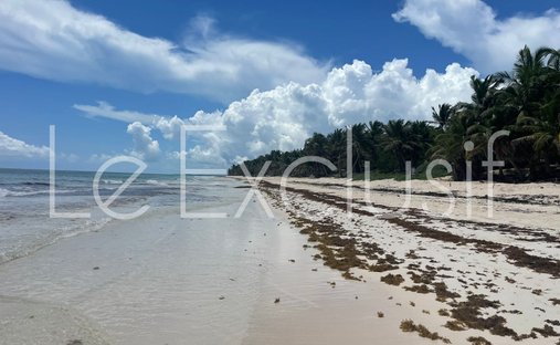 Land in Quintana Roo, Yucatan, Mexico 1
