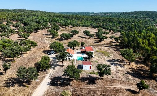 Finca à Almeirim, District de Santarém, Portugal 1