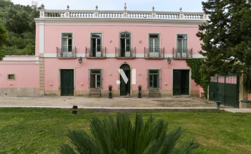 Finca a Sao Vicente do Paul e Vale de Figueira, Distretto di Santarém, Portogallo 1