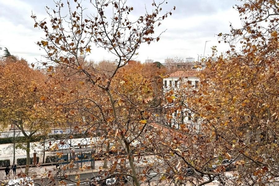 Apartment in Barrio Salamanca, Madrid, Spain 2 - 18357228