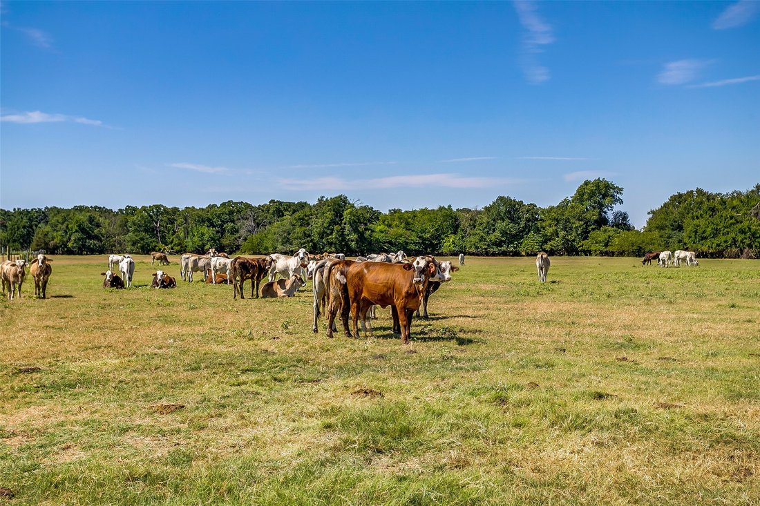 Land in Greenville, Texas, United States 4 - 18440509