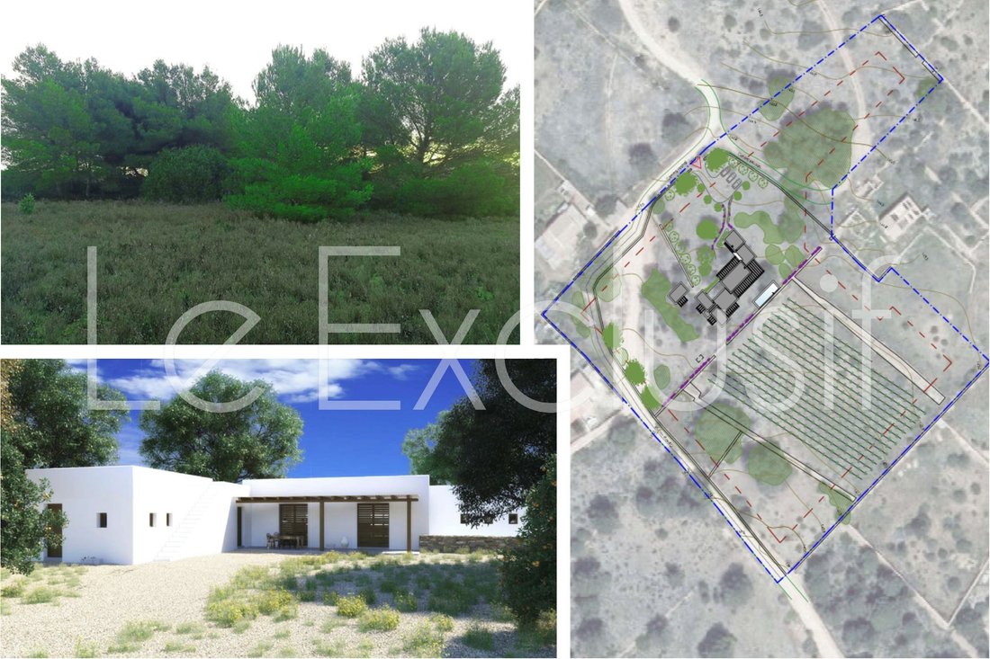 Land in Formentera, Balearic Islands, Spain 5 - 13160490
