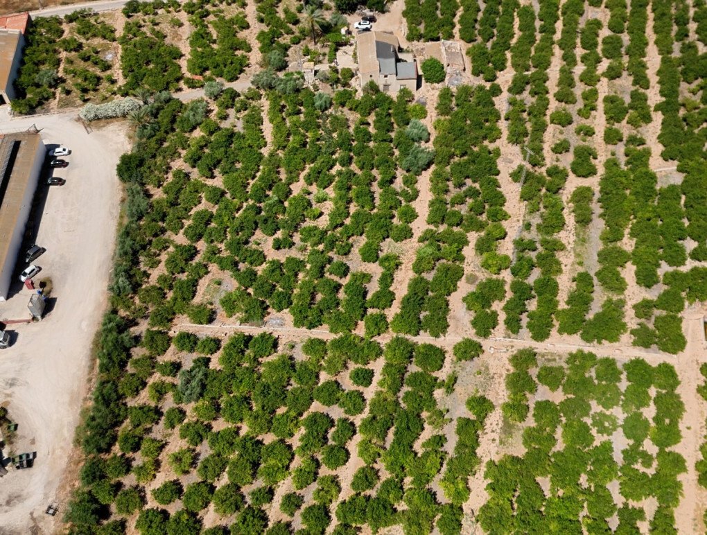 Finca in Orihuela, Valencian Community, Spain 5 - 18437203