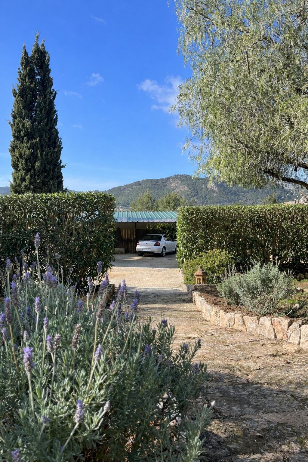 Finca in Andratx, Balearic Islands, Spain 4 - 17904407