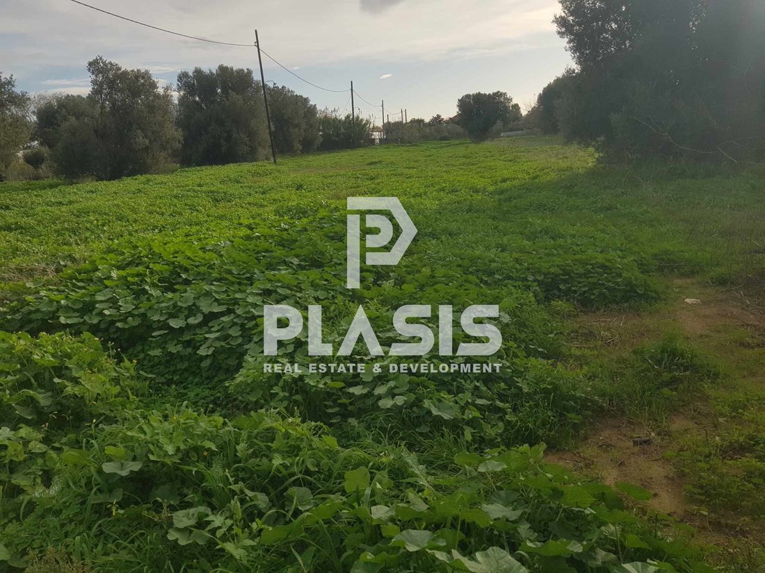 Land in Marathonas, Attica, Greece 1 - 18436956