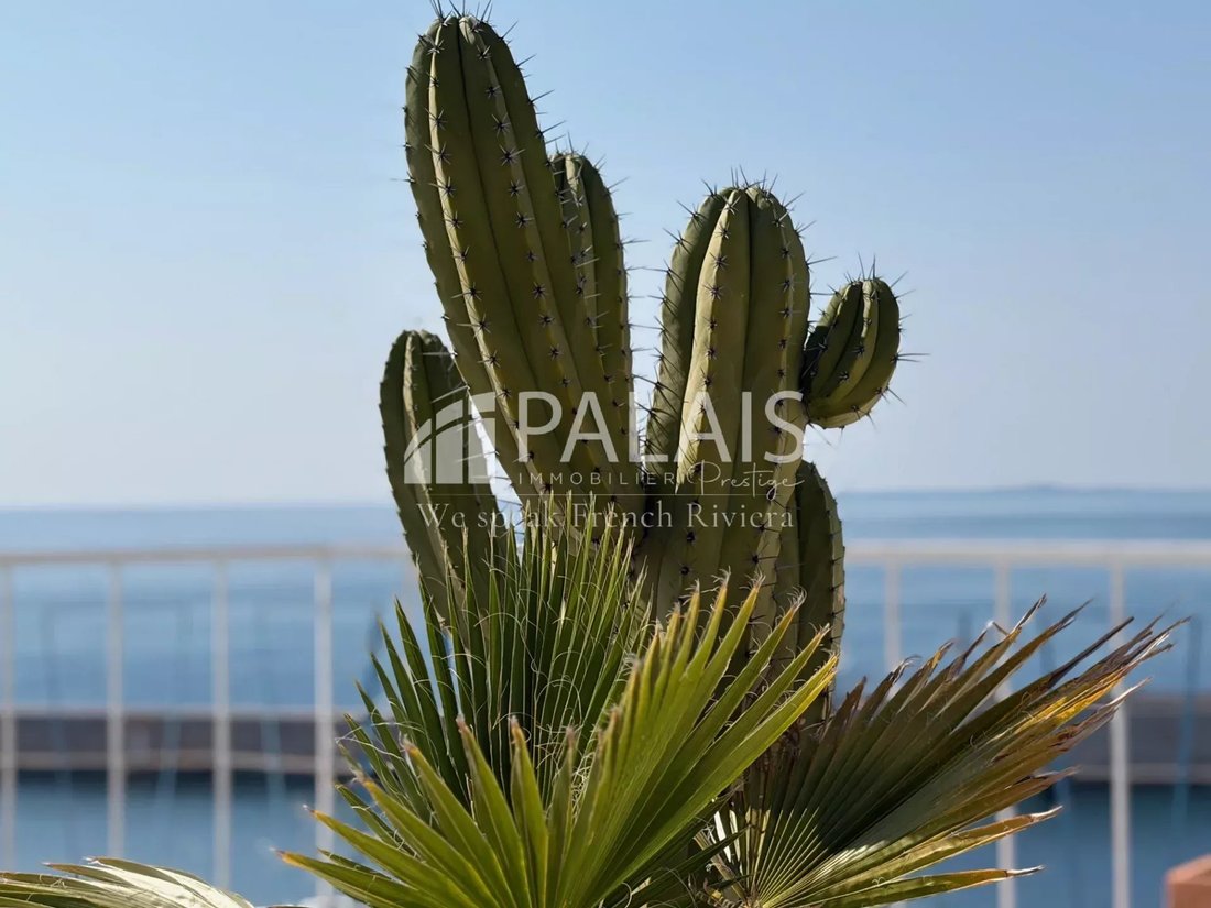 Apartment in Le Port, Nice, France 2 - 18437860