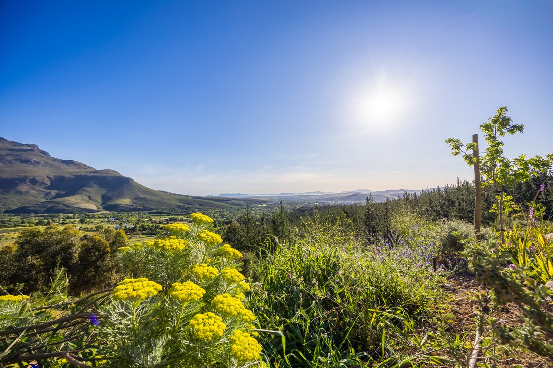 Land in Arbeidslus, Western Cape, South Africa 4 - 18438370