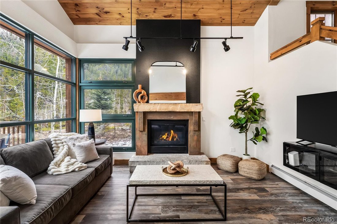 Condo in Dillon, Colorado, United States 2 - 18439027