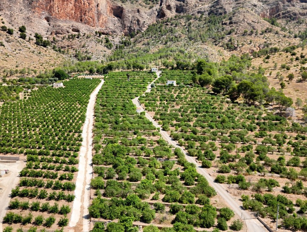 Finca in Orihuela, Valencian Community, Spain 1 - 18437203
