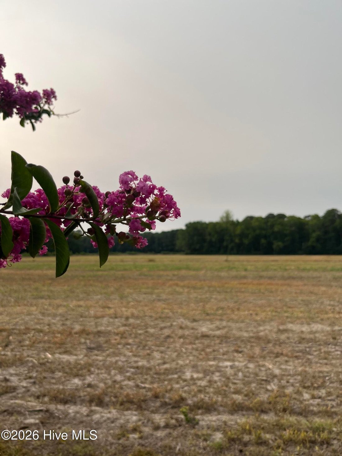 Land in Greenville, North Carolina, United States 1 - 18440534