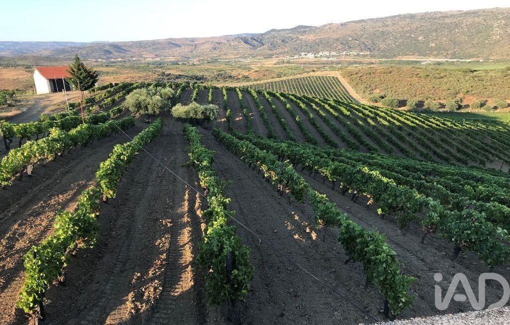 Land in Vila Flor e Nabo, Braganca District, Portugal 1 - 18435220