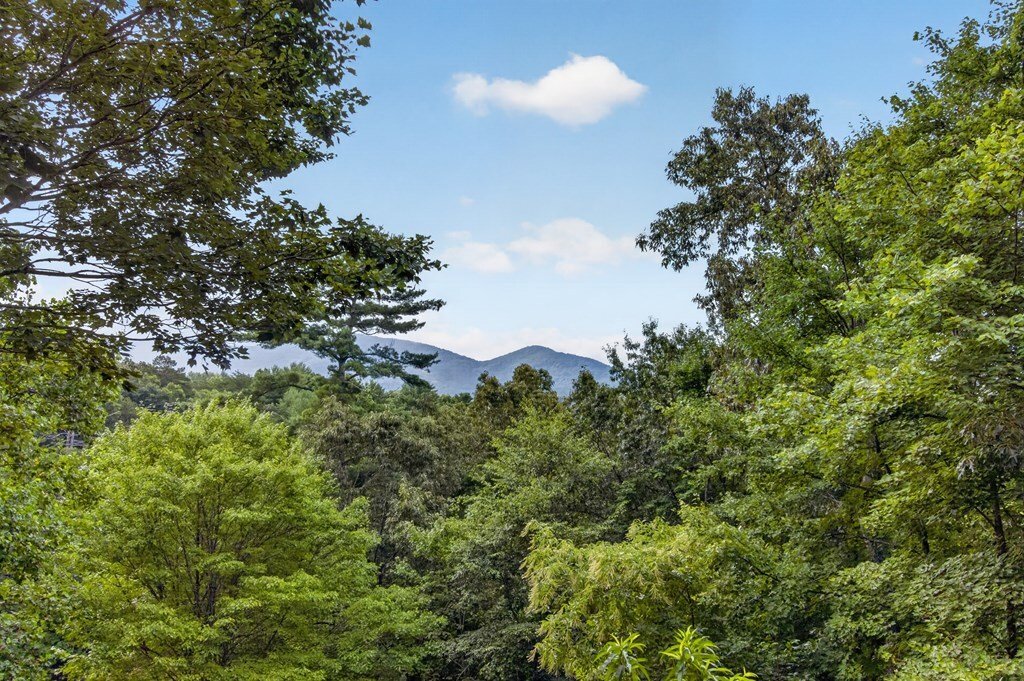 House in Ellijay, Georgia, United States 2 - 18440593