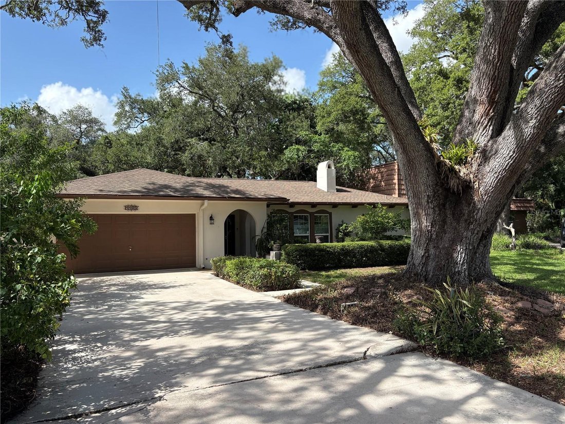 House in Tampa, Florida, United States 4 - 18071774