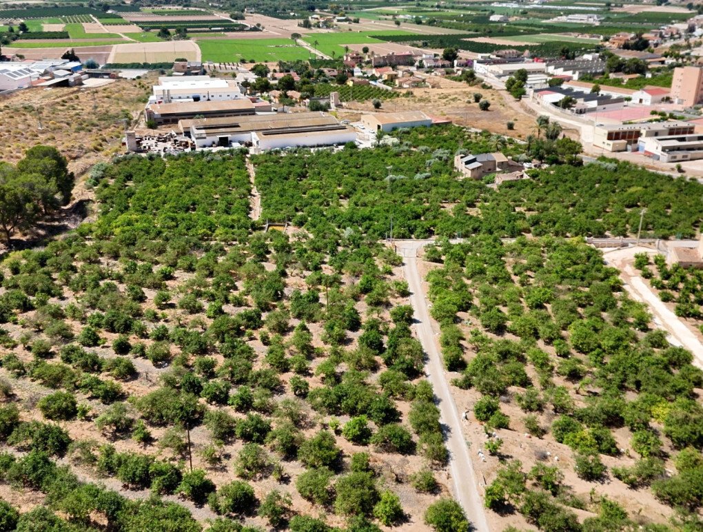 Finca in Orihuela, Valencian Community, Spain 4 - 18437203