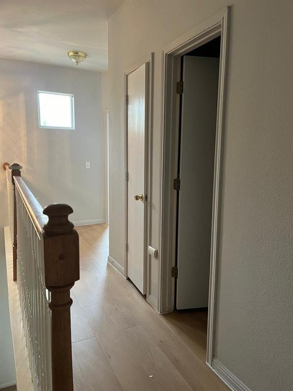 Apartment in Austin, Texas, United States 5 - 18443098