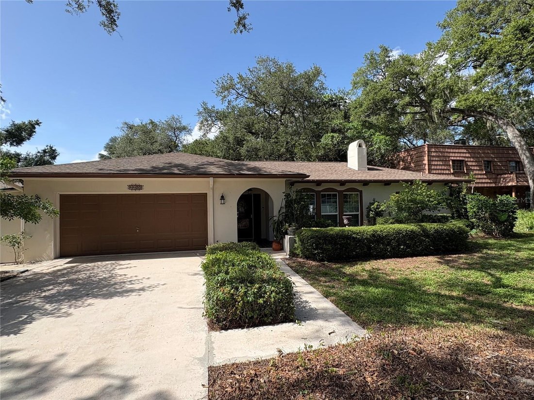 House in Tampa, Florida, United States 1 - 18071774