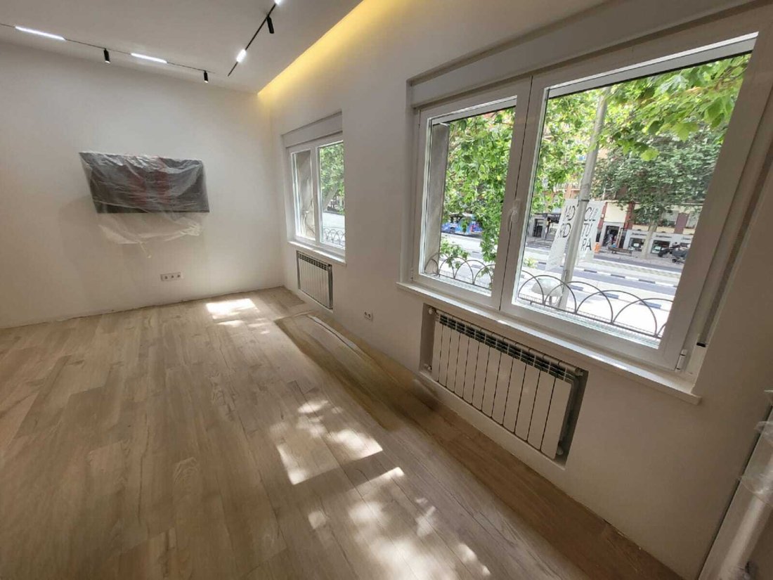 Apartment in Barrio Salamanca, Madrid, Spain 1 - 18357362