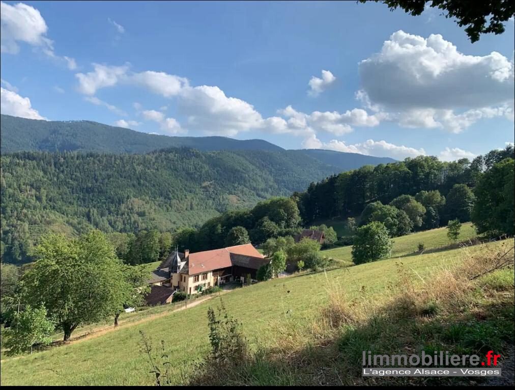 Farm Ranch in Sainte-Marie-aux-Mines, Grand Est, France 2 - 18441689