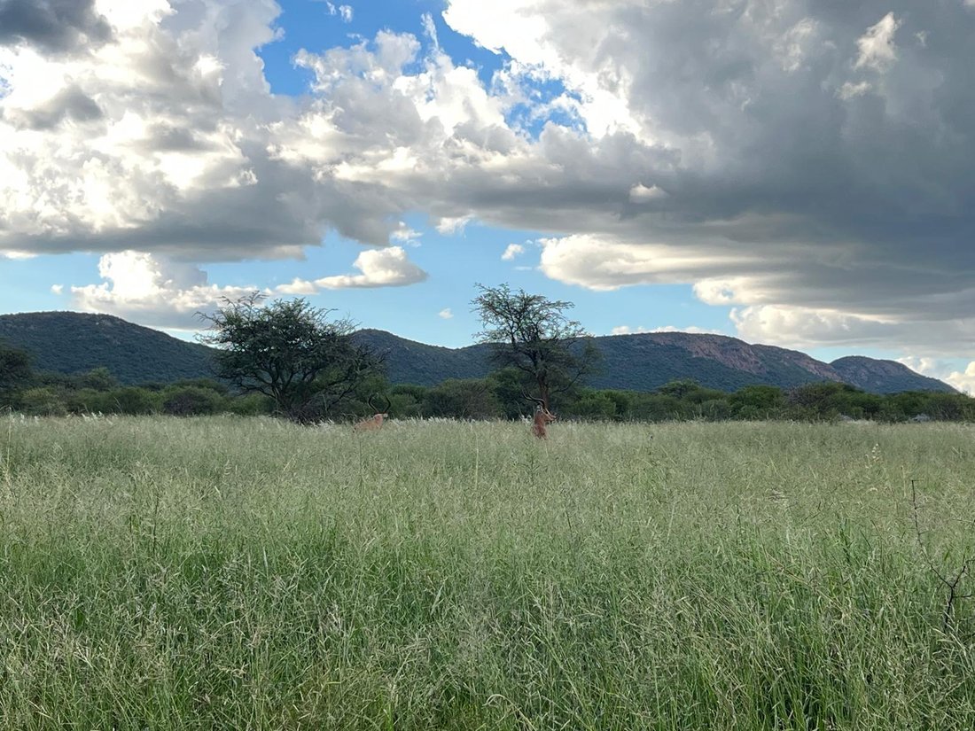 Farm Ranch in Mokopane, Limpopo, South Africa 2 - 18438378