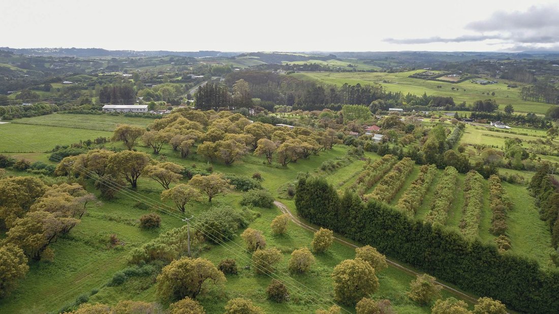 Farm Ranch in Mangawhai, Northland, New Zealand 3 - 16726672