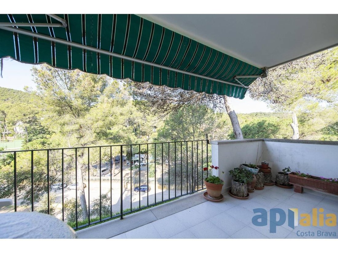 Apartment in Tamariu, Palafrugell, Spain 2 - 18442428