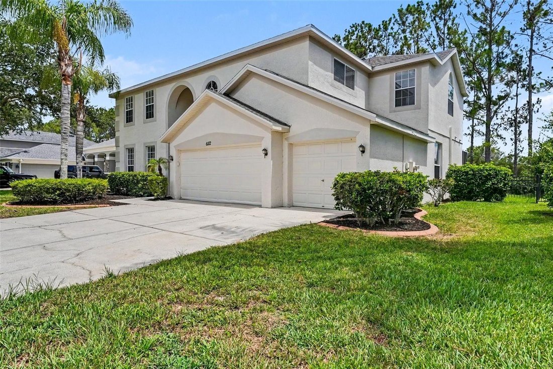 House in Land O' Lakes, Florida, United States 2 - 18439505