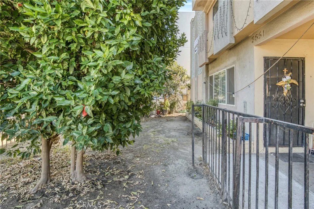 Los Angeles, California, United States 4 - 18442946